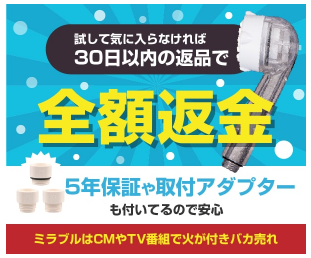 ミラブル ケーズデンキ